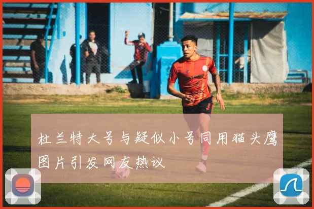 杜兰特大号与疑似小号同用猫头鹰图片引发网友热议