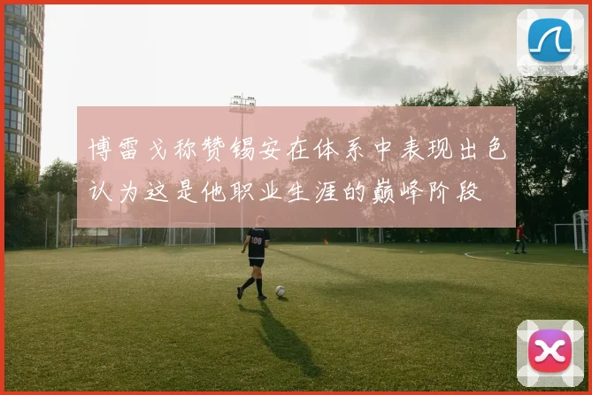 博雷戈称赞锡安在体系中表现出色认为这是他职业生涯的巅峰阶段
